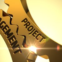 Project management in the process and energy industries