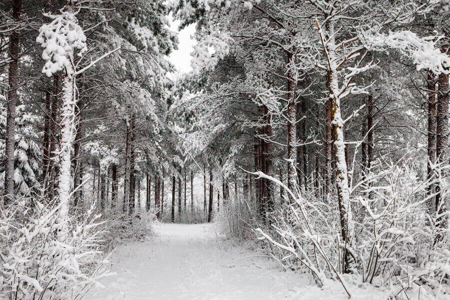 winter